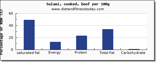 saturated fat and nutrition facts in salami per 100g